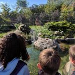 Zoo New York